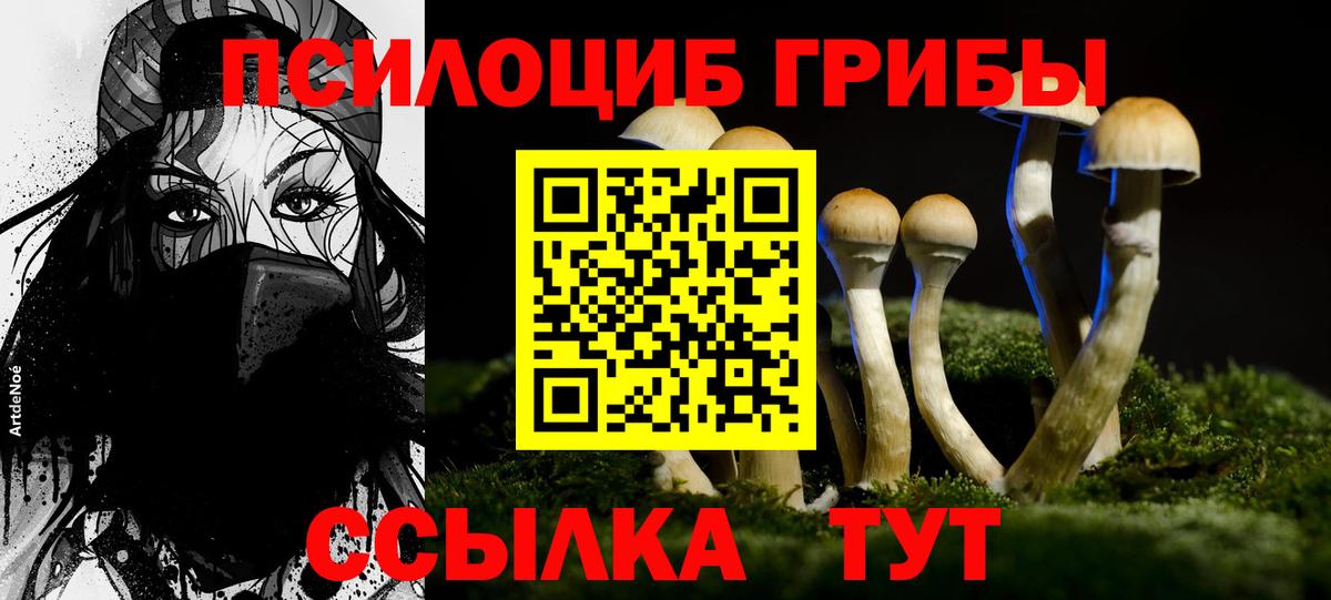 Галлюциногенные грибы Magic Shrooms  Вход с VPN  Кыштым  Галлюциногенные грибы Psilocybine cubensis 